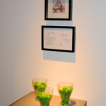 Pay a Living Wage Green charity tokens and Bear & Hare Christmas Card supporting John Lewis' cleaners